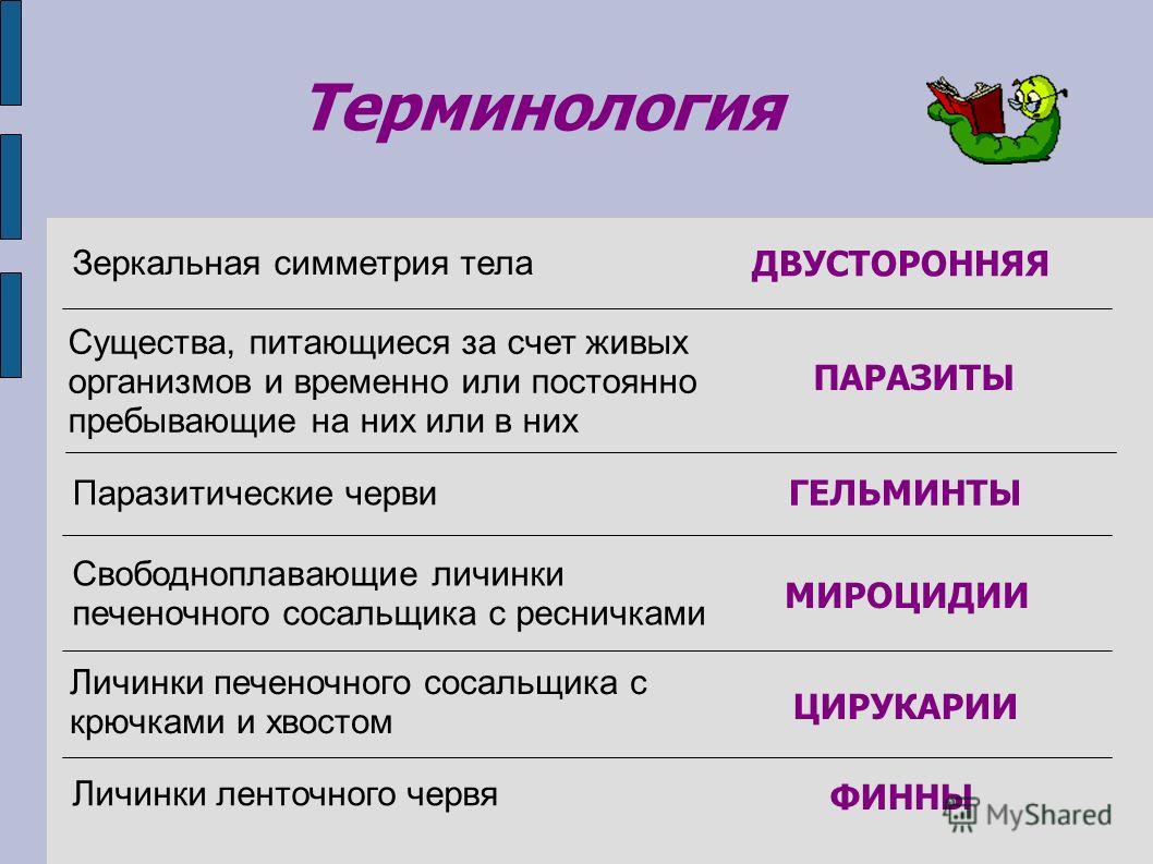 Как вернуть аккаунт на кракене