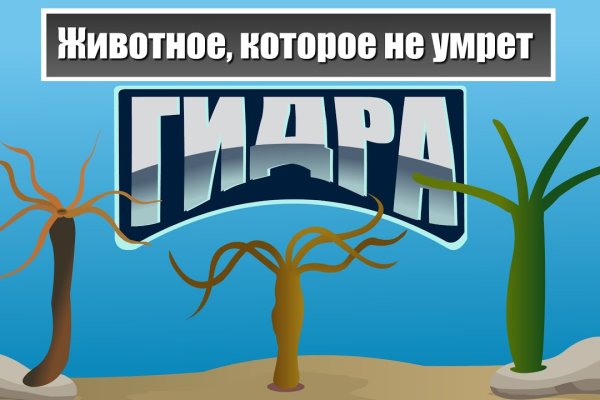 Кракен торговая площадка даркнет