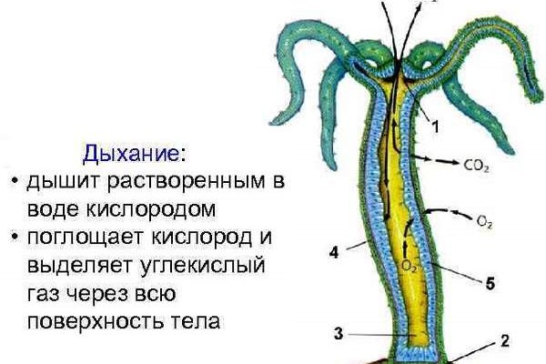 Кракен ссылка на тор официальная